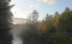 Trailside Carefee RV Resort